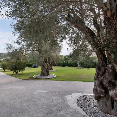 Apartment Elaia 1 Lefkada City